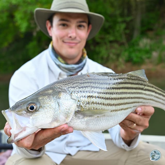 Fishing in Flux: Matt Reilly's Take on Spring Trends and Techniques