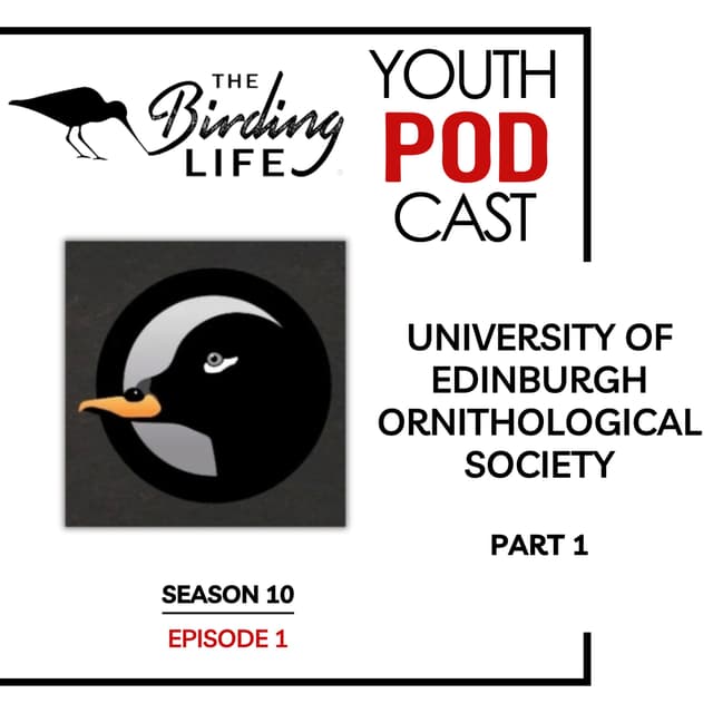 TBL Youth Podcast - Season 10 Episode 1 - The University of Edinburgh Ornithological Society: Part 1
