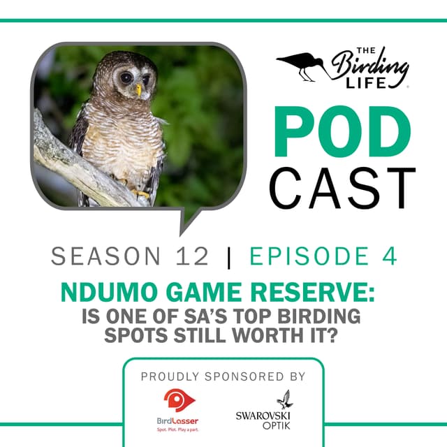 TBL Podcast Season 12 Episode 4 - Ndumo Game Reserve: Is One of SA’s Top Birding Spots Still Worth It?