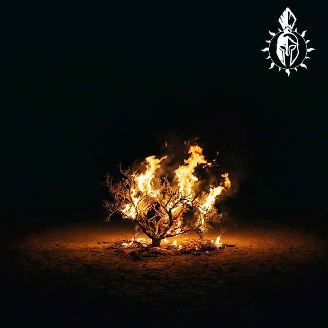 Astro-Theology and the Universal Moses Archetype | Inner Whirled ep. 16