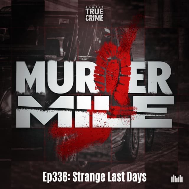 #336 - Strange Last Days (Karoline Getta Jones, Kilburn, NW6)