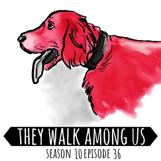 The Last Juvenile To Be Sentenced To Death / Ethel Corey / Harold Wilkins