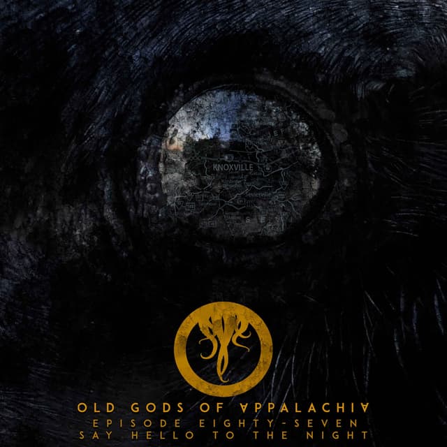 Episode 87: Say Hello to the Night