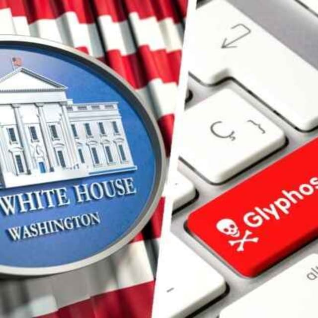 MAHA Was Betrayed By Trump!