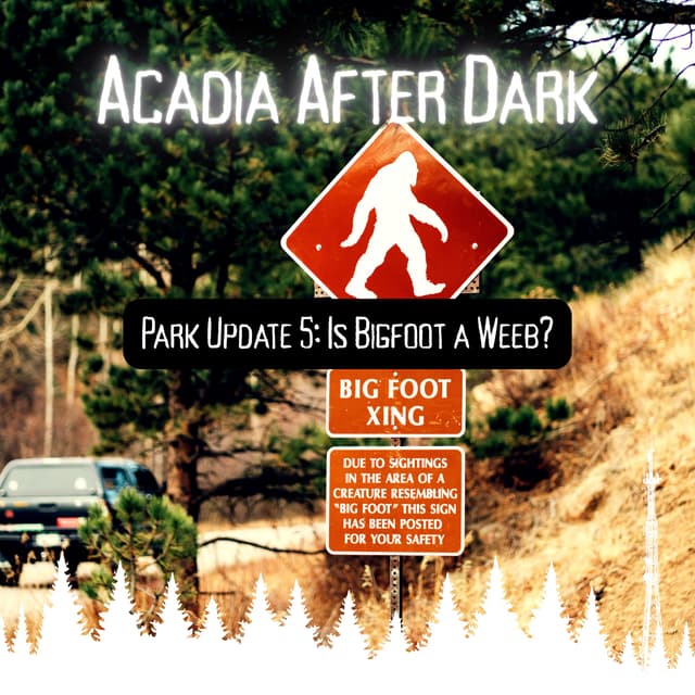 Acadia After Dark Park Update 5