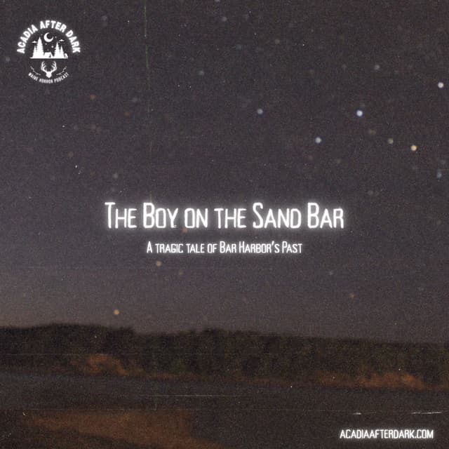 The Boy on the Sand Bar