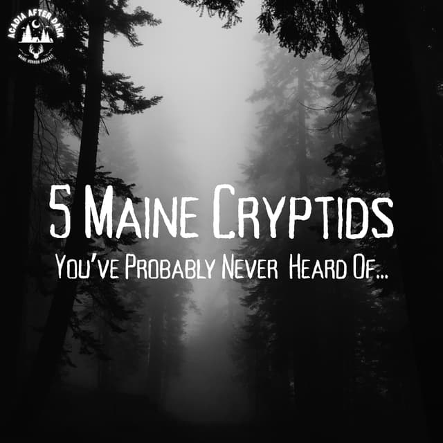 5 Maine Cryptids You've Probably Never Heard Of...