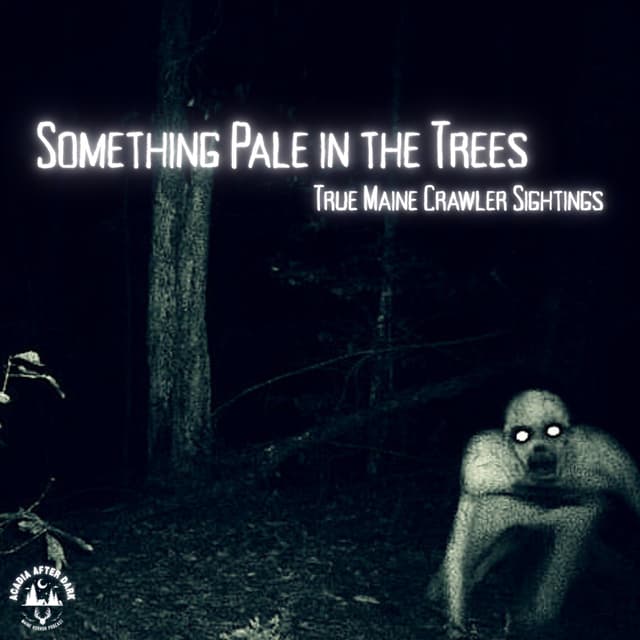 Something Pale in the Trees: True Maine Crawler Sightings