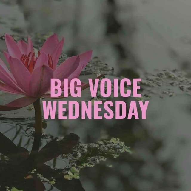 Use Your Voice To Shape Policy