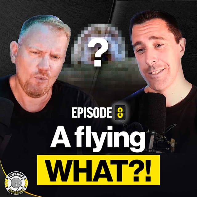 The WEIRDEST ”Bird Strike” Ever!! (Audio-Only Version)