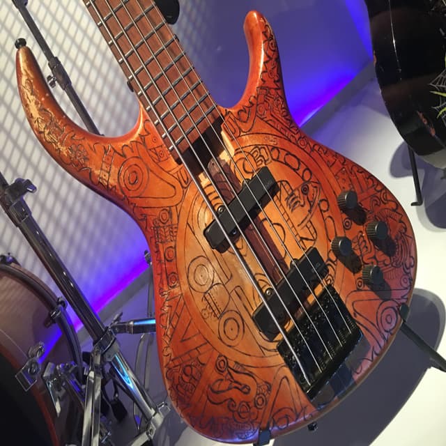 Evolving and Strumming