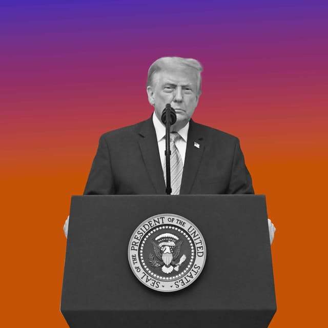What Next - Trump’s White Whale