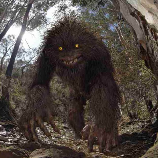 E235: The Yowie, Australia's Hairy & Scary Humanoid
