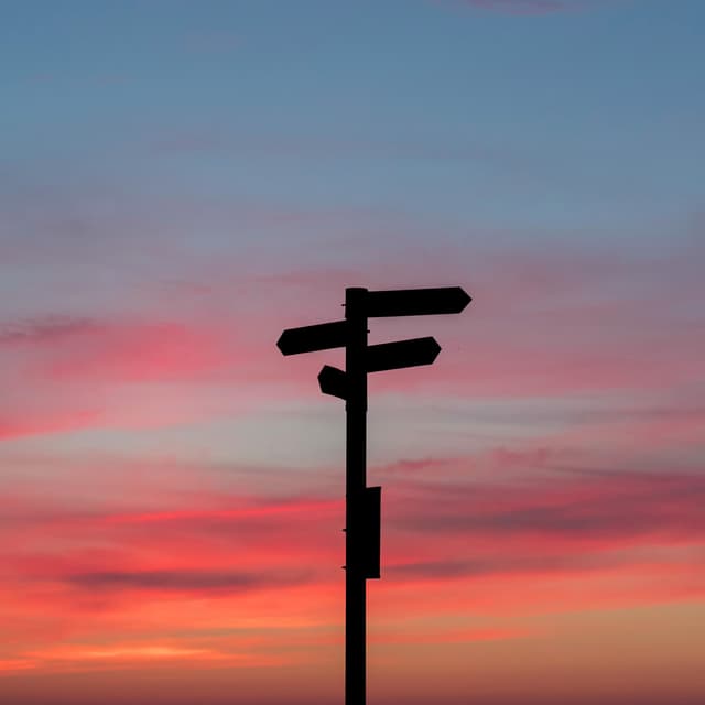 Would You Rather IV: Would You Dan Rather?