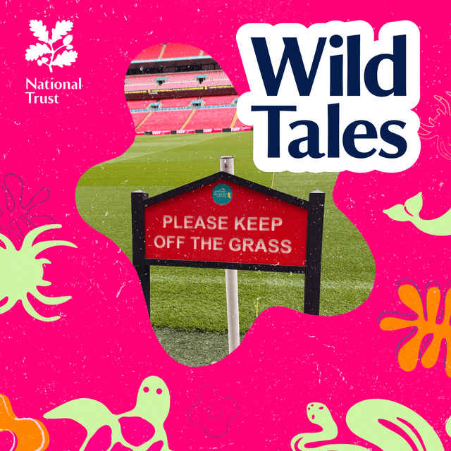 Wembley Stadium | Football's Perfect Pitch