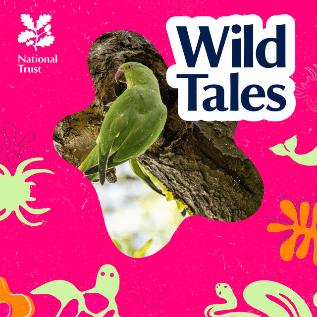 The London Parakeet Mystery