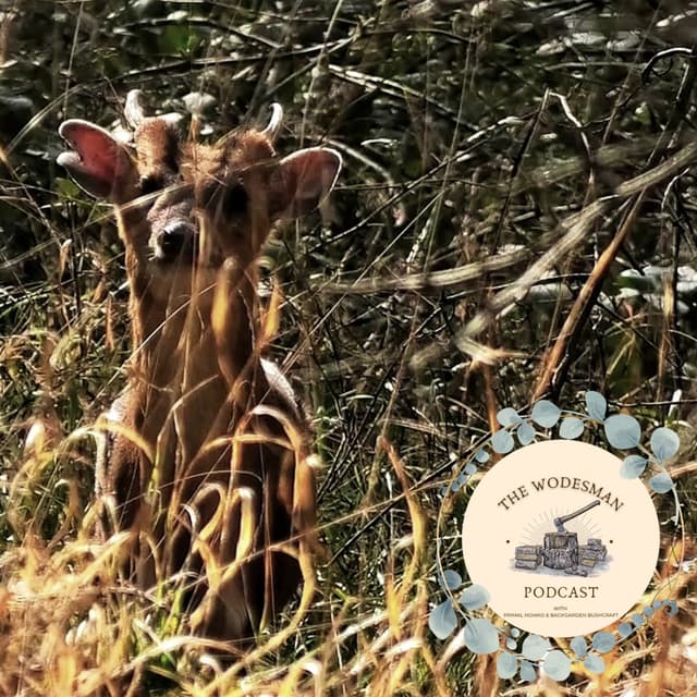 EP.009 - Forage For Freedom & Mental Health