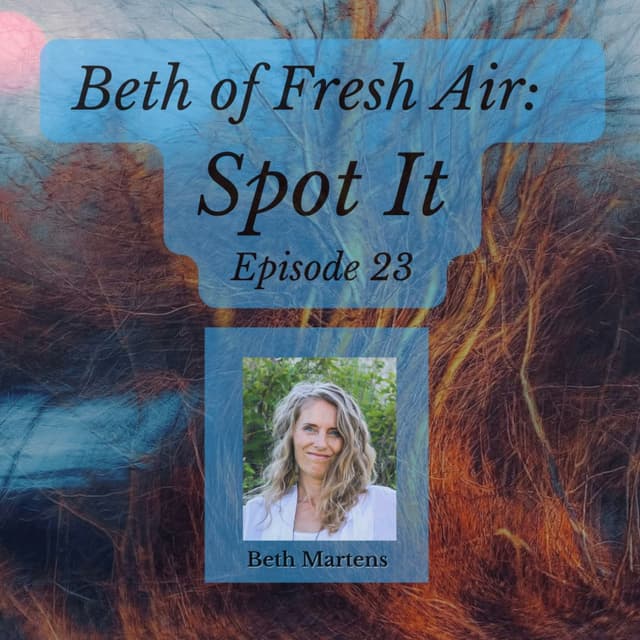 Beth of Fresh Air: Episode 23 - Spot It
