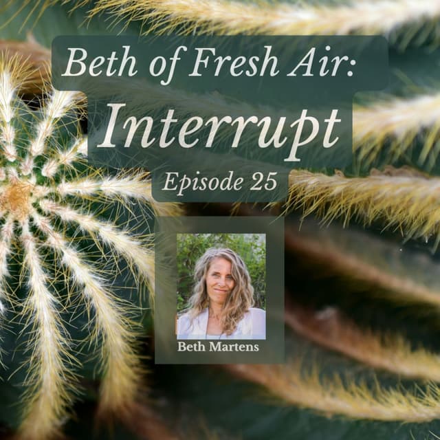 Beth of Fresh Air – Episode 25: Interrupt