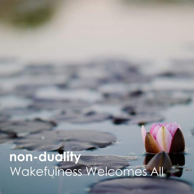 Dr Daniel H Shapiro - Wakefulness Welcomes All | Nonduality