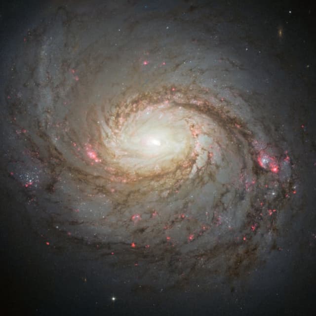 Starbursts and Seyferts: The Mystery of the Missing Gamma Rays