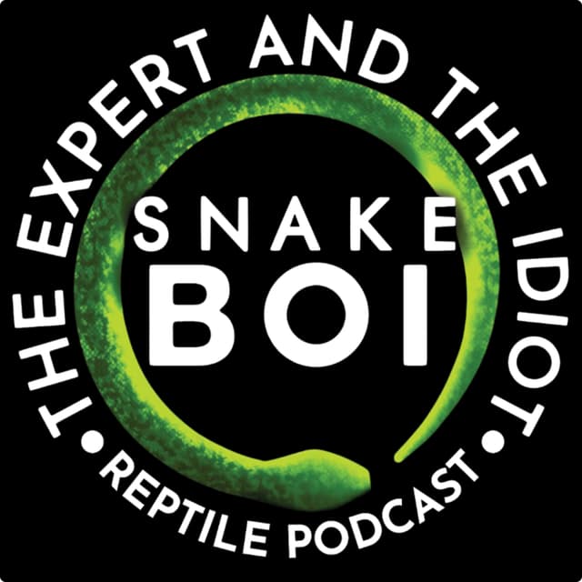 The Expert and The Idiot - A Reptile Podcast
