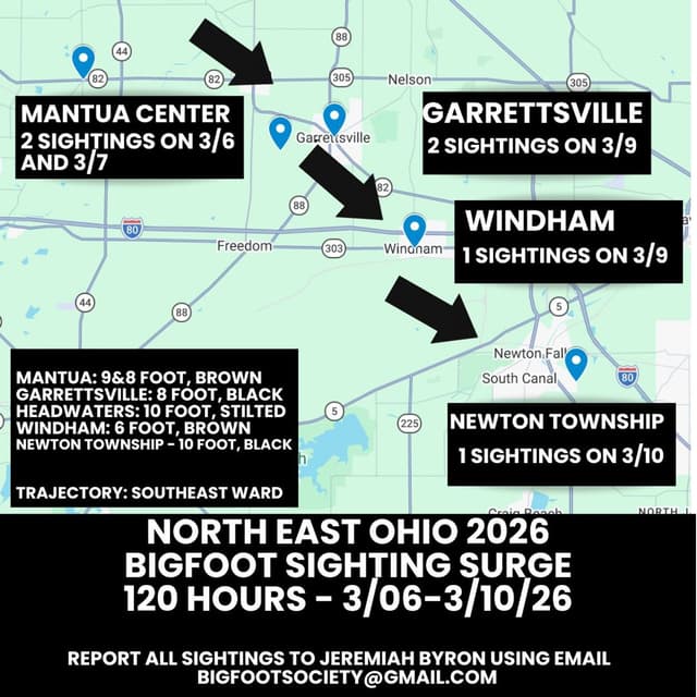 Northeast Ohio Bigfoot Sighting Flap: SPECIAL REPORT