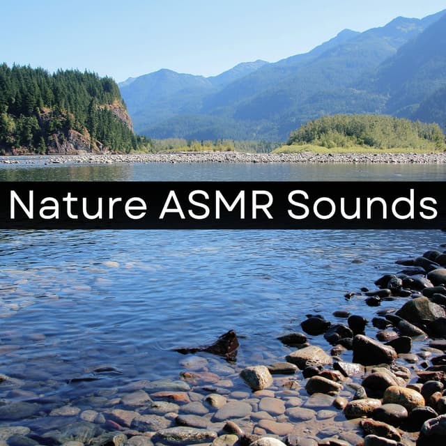 Nature ASMR Sounds