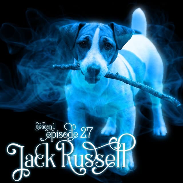 S1E27: Jack Russell Terrier