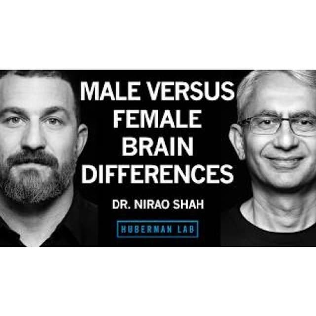 Male vs. Female Brain Differences & How They Arise From Genes & Hormones _ Dr. Nirao Shah