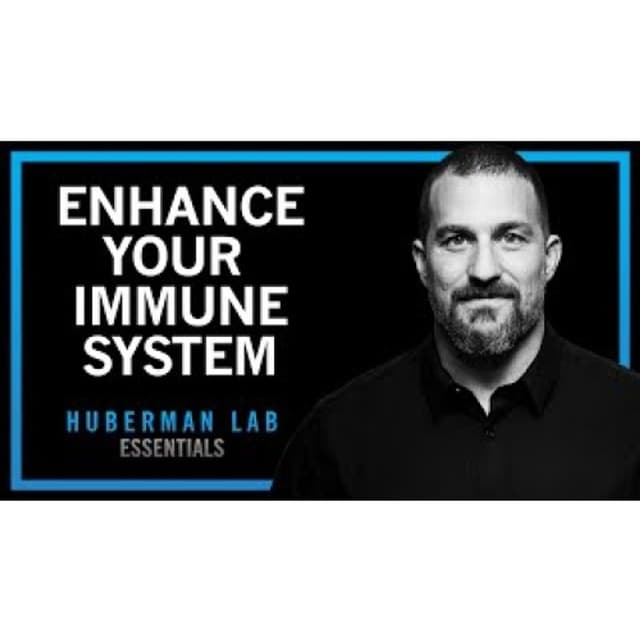Using Your Nervous System to Enhance Your Immune System _ Huberman Lab Essentials