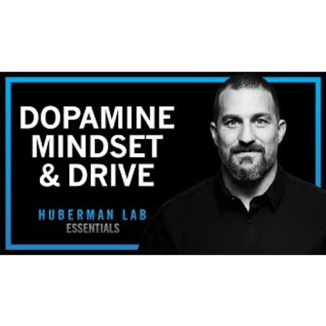 Controlling Your Dopamine for Motivation, Focus & Satisfaction _ Huberman Lab Essentials