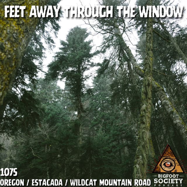 A Man From Sandy, Oregon Shares His Lifelong Encounters With The Sasquatch