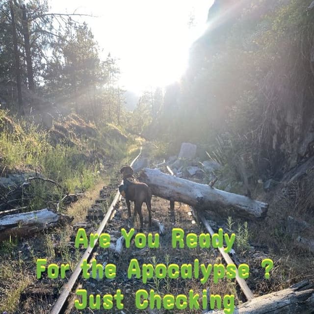Zombie Gut Check