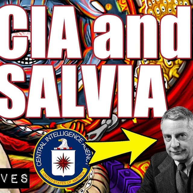 CIA and Salvia Divinorum w/ Kaleb Graves | Paranoid American Podcast 126