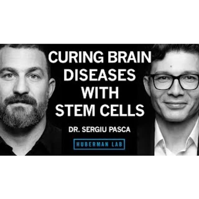 Curing Autism, Epilepsy & Schizophrenia with Stem Cells _ Dr. Sergiu Pașca