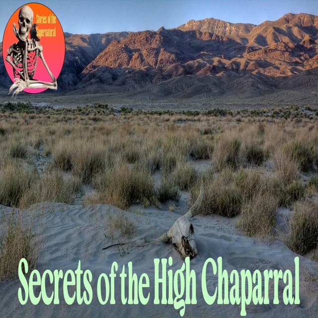 Secrets of the High Chaparral | Interview with Allan Pacheco | Podcast