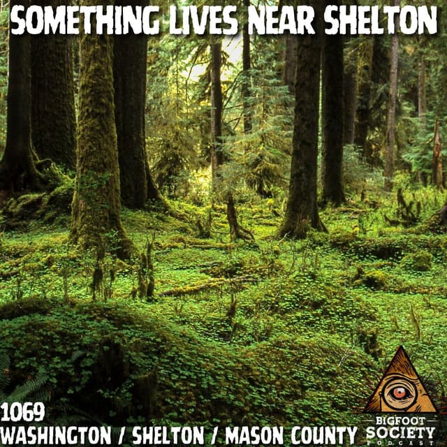 A Former Deputy Shares His Ongoing Encounters in Shelton, Washington With Sasquatch