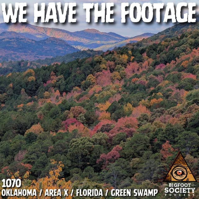 A NAWAC Researcher Shares New Encounters And Activity From Area X