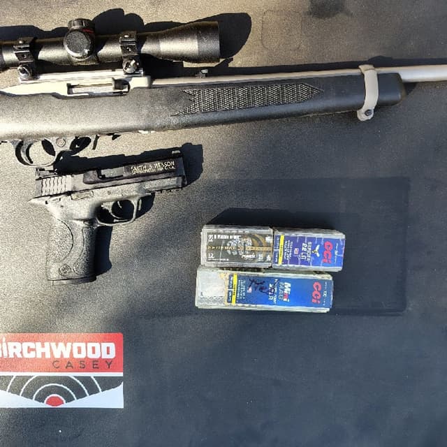 22lr For Defense Terminal Performance - C.C.I. Mini Mag, Stinger, & Federal Punch