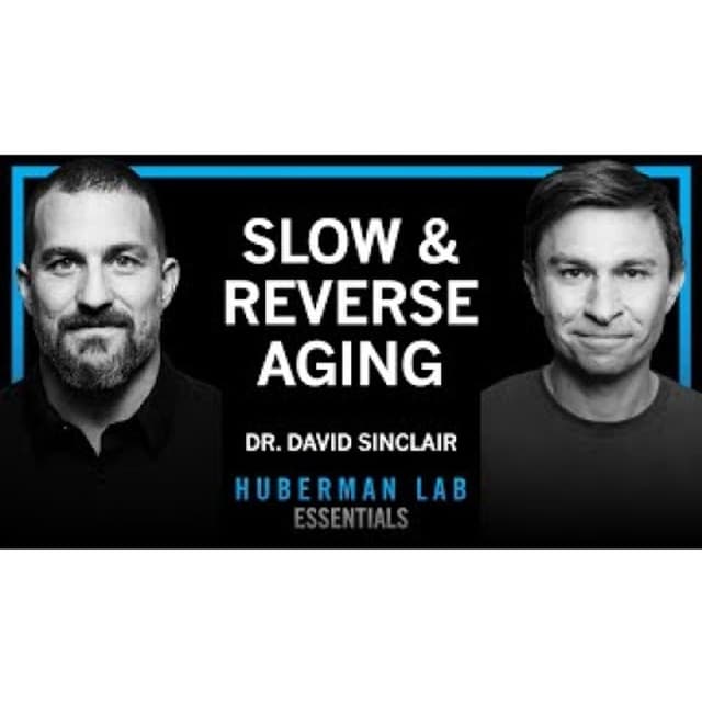 Essentials_ The Biology of Slowing & Reversing Aging _ Dr. David Sinclair