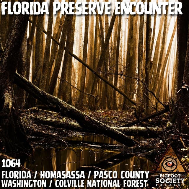 A Florida Researcher’s Terrifying Sasquatch Encounters in Pasco County
