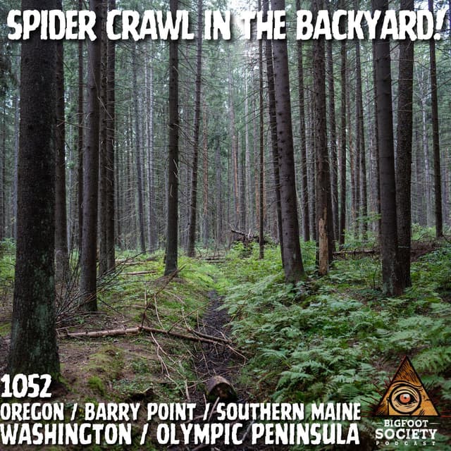 Spider Crawl Bigfoot in the Backyard!