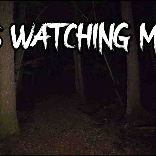 3 TRUE Creepy Forest Horror Stories