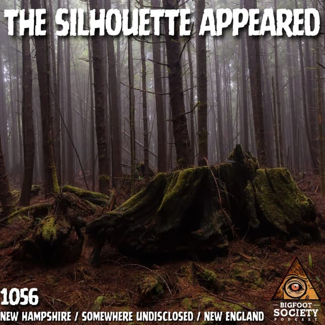 White Mountains of New Hampshire: Cloaking, Telepathy, and a Massive Forest Encounter