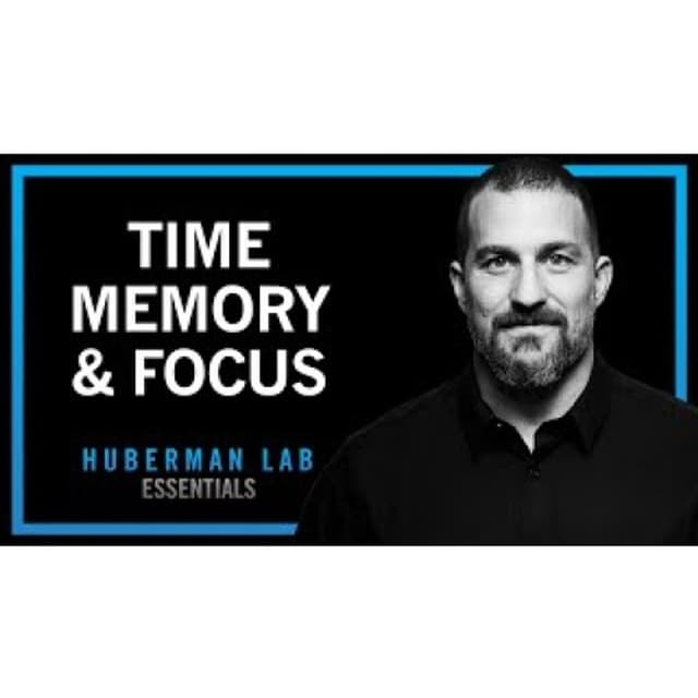 Time Perception, Memory & Focus _ Huberman Lab Essentials