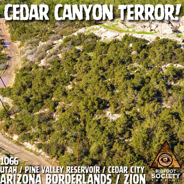 Southern Utah Camper Shares Years of Sasquatch Encounters Near Cedar City!