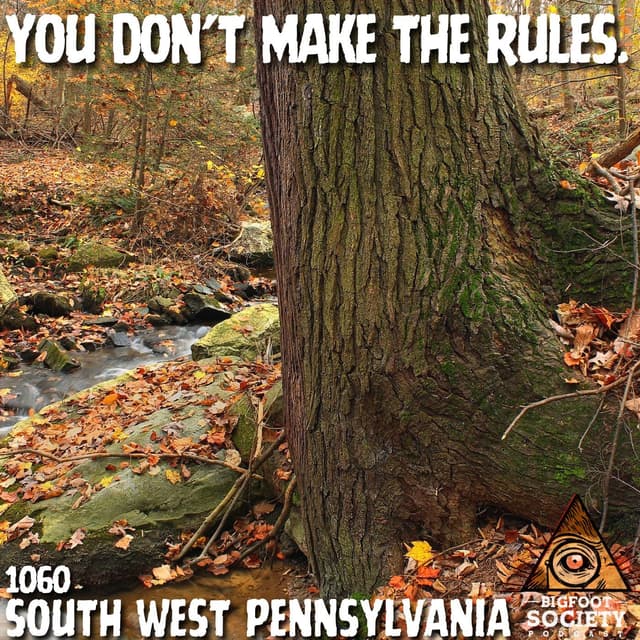 A Western Pennsylvania Energy Worker Shares Her Years of Sasquatch Encounters