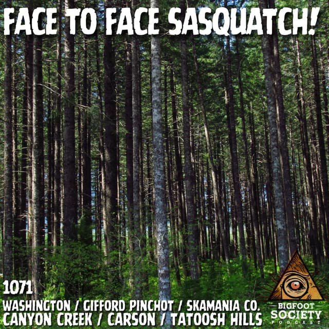 A Retired Military Veteran Shares His Face-to-Face Sasquatch Encounter in Gifford Pinchot National Forest