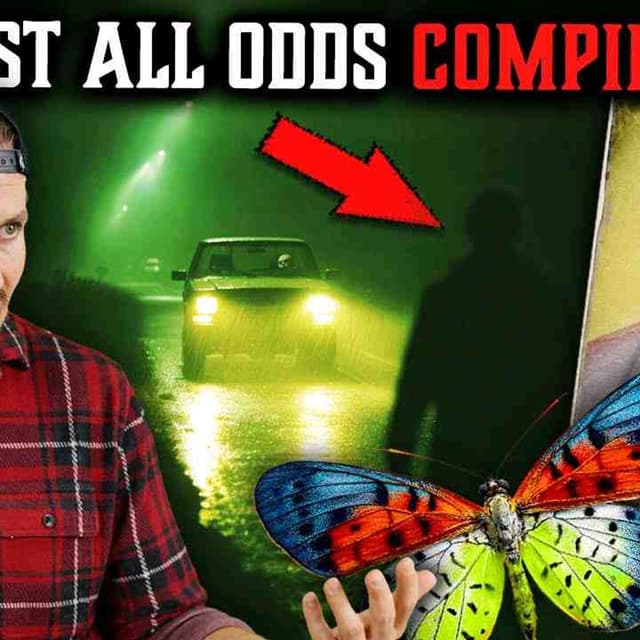 Top 5 Bingeable SCARY STORIES • WTF HAPPENED_ Edition